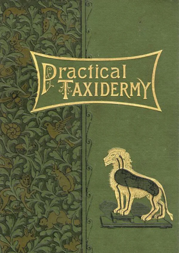 The Man in the Glass House